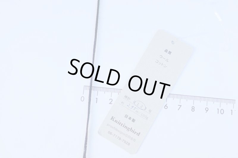 画像23: 靴下専用•一期一会糸 (むろこけひといぬうへ)100gコーン巻き/合細段染め引き揃え工業糸 (23)