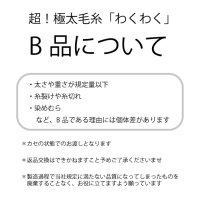 【B品】アームニッティング専用 南米ウール超極太糸/  わくわく 約240g巻き