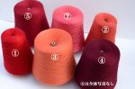 画像9: 「あまねく」 超極細 Exファイン防縮メリノウール 40g/560mコーン巻 36色展開 (9)