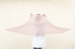 画像1: 富士山ショールキット／和紙ウール「いよいよ」×シルクモヘヤ「いつも」 (1)