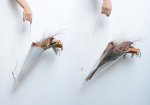 画像14: LAN / PVC フラワーバッグ (14)