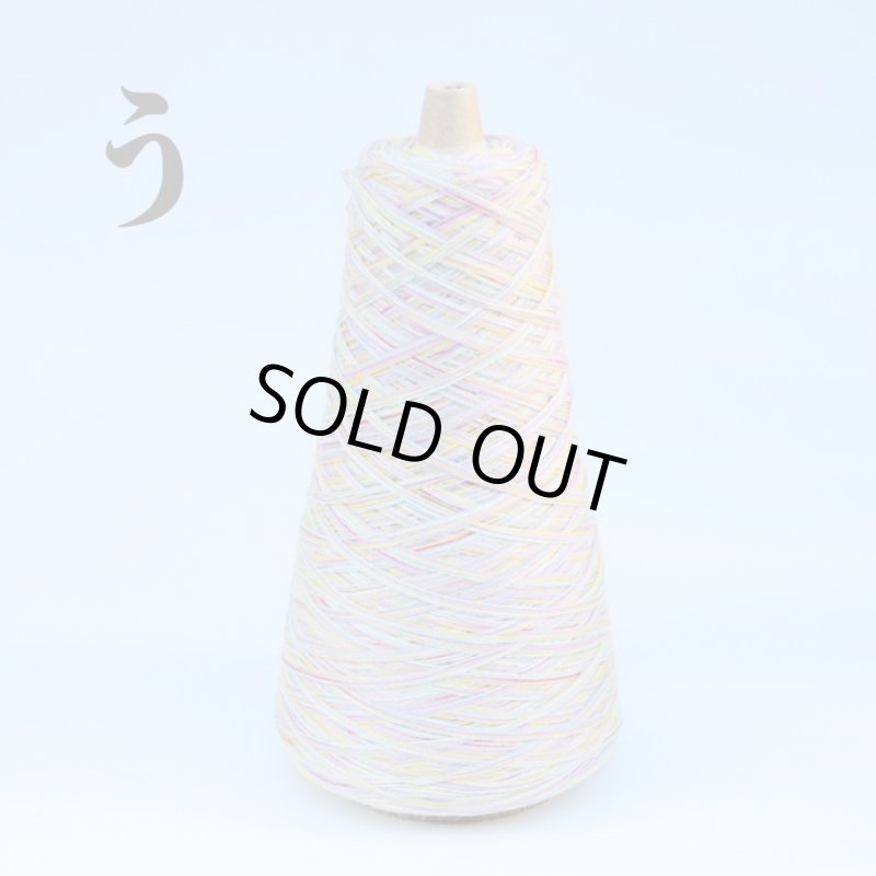 画像20: 靴下専用•一期一会糸 (むろこけひといぬうへ)100gコーン巻き/合細段染め引き揃え工業糸 (20)