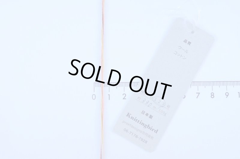 画像9: 靴下専用•一期一会糸 (むろこけひといぬうへ)100gコーン巻き/合細段染め引き揃え工業糸 (9)