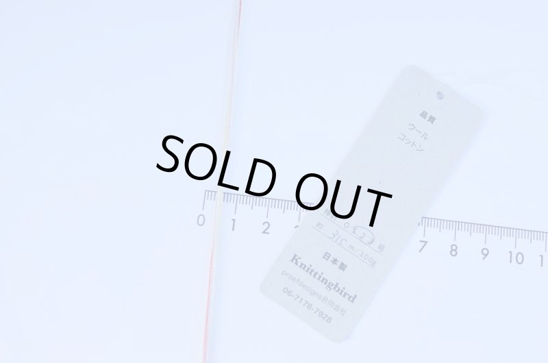 画像21: 靴下専用•一期一会糸 (むろこけひといぬうへ)100gコーン巻き/合細段染め引き揃え工業糸 (21)